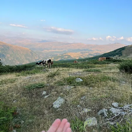 Villa Guest House Kukes