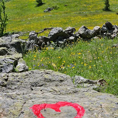 Guest House Villa Kukes