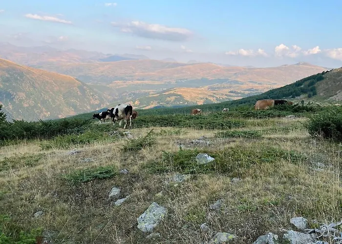 Willa Guest House Kukes