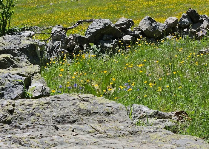 Guest House Willa Kukes